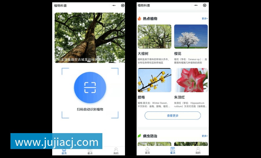 植物科普扫码系统 植物科普扫码系统